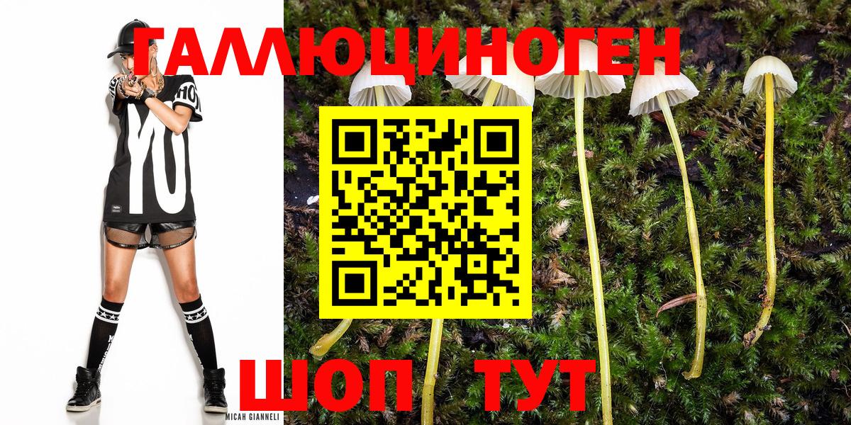 Галлюциногенные грибы Psilocybine cubensis  Вход с VPN  Реж 